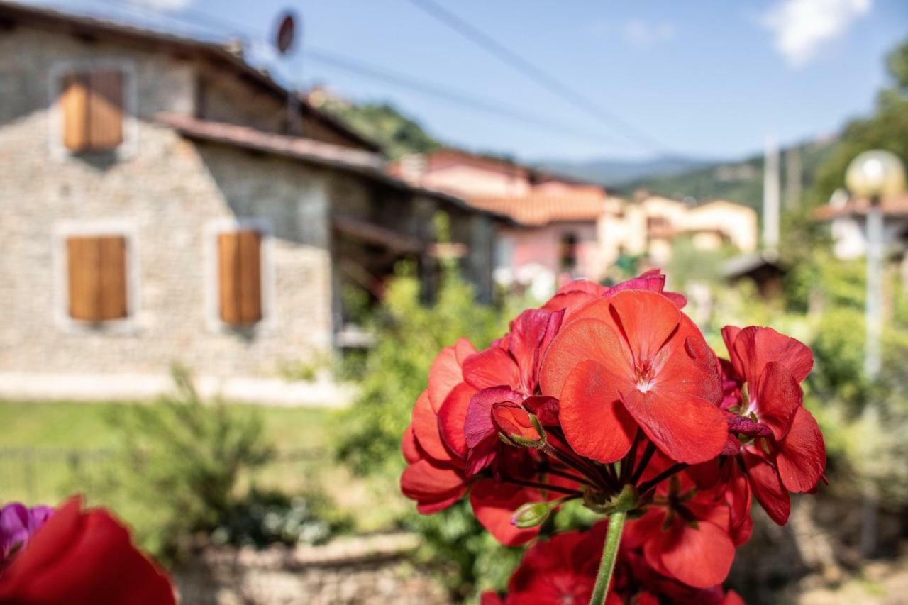 B&B La Casa D'Artista Ortignano Raggiolo Ngoại thất bức ảnh