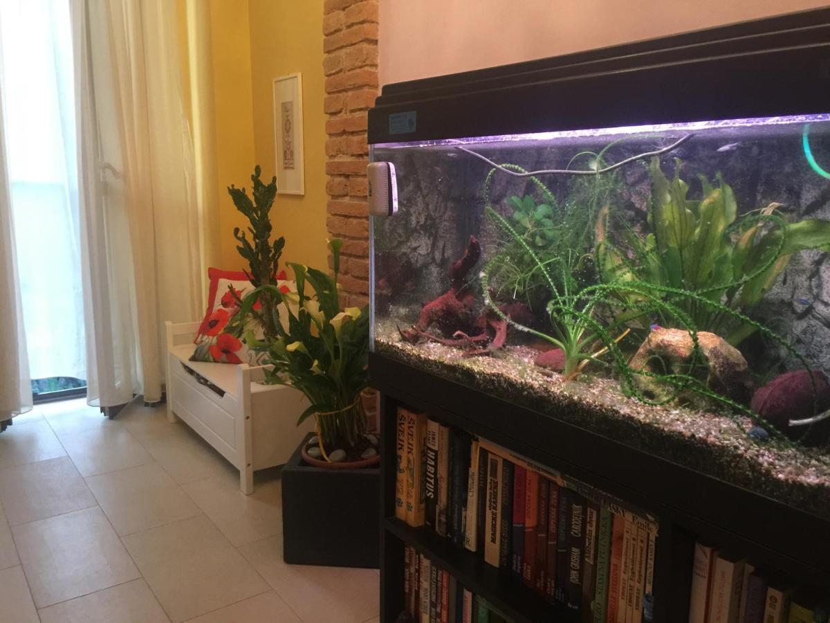 B&B La Casa D'Artista Ortignano Raggiolo Ngoại thất bức ảnh